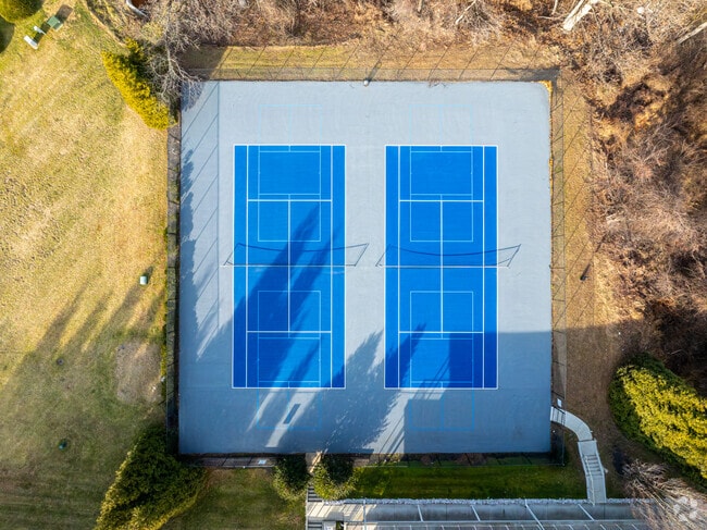 Canchas de pickleball