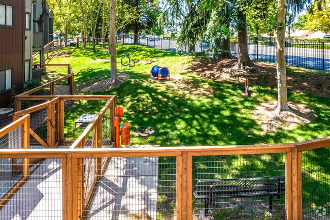 Dog Park
