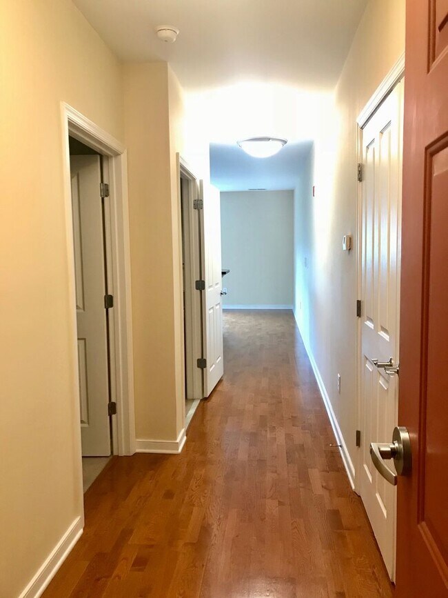 Photo - 388 Boush St