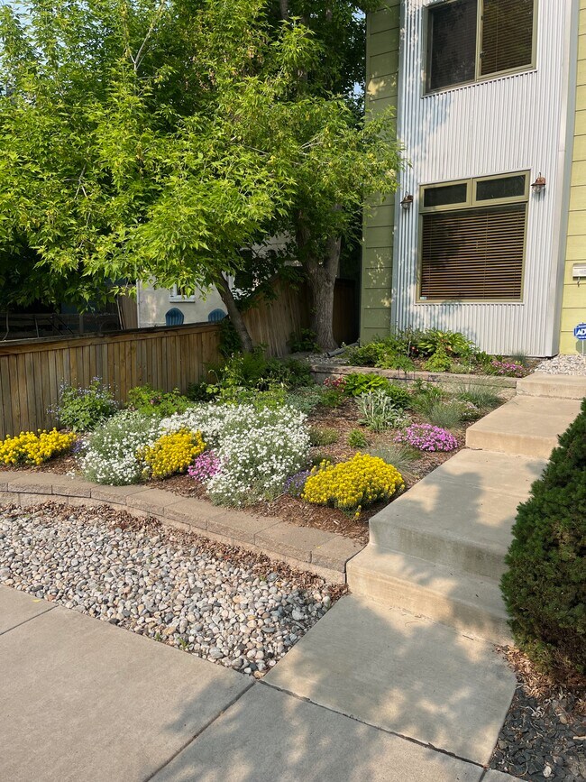 Front Cottage Garden - 3639 Mariposa Street