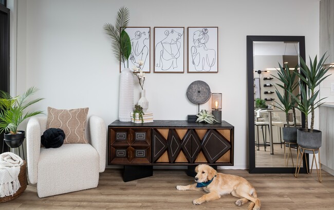 Entertainment Area - SoNa Lofts
