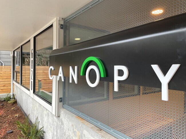 Photo - Canopy