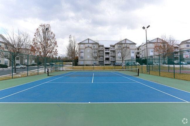 Latitude 49