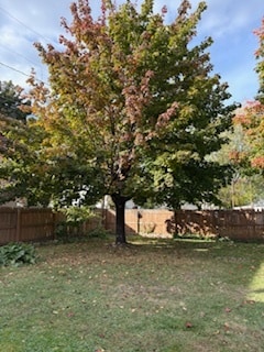 Patio interior - 816 Logan Ave