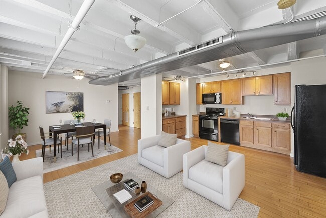 Photo - Storyboard on Pine