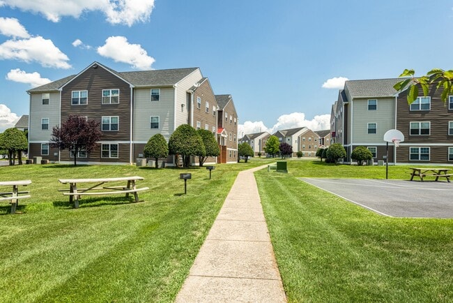 Building Photo - The Mill Apartments