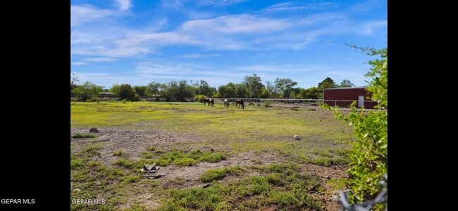 Photo - 4151 Emory Rd Unit C