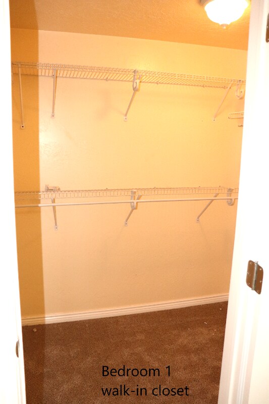7896 Goldenpointe Wy