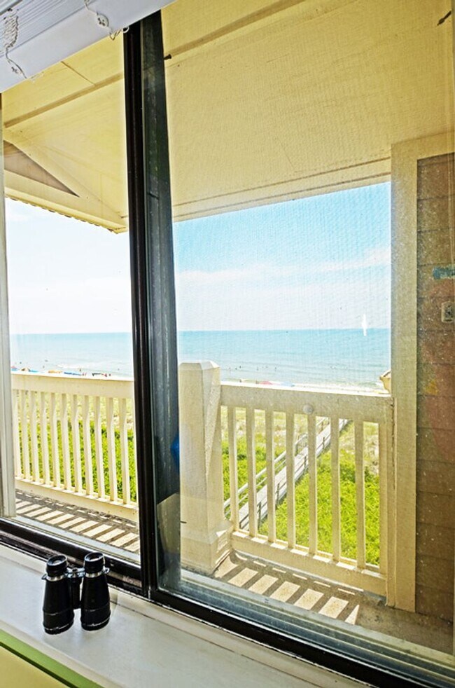 Salty Hammocks Apartment For Rent in Carolina Beach, NC