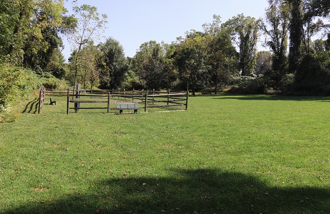 Springside Manor