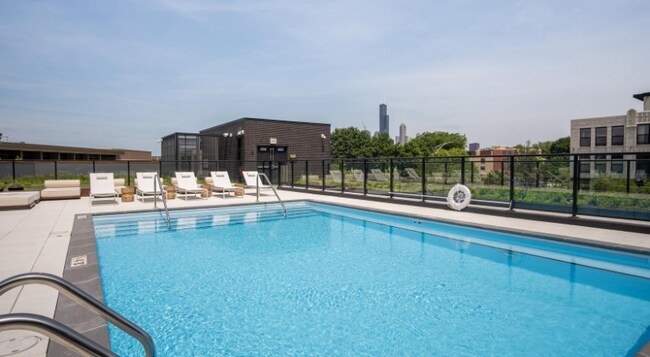 Photo - 1243 S Blue Island Ave