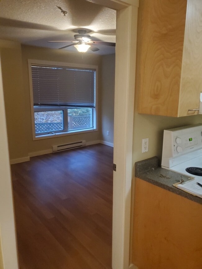 Photo - 250 Selby St