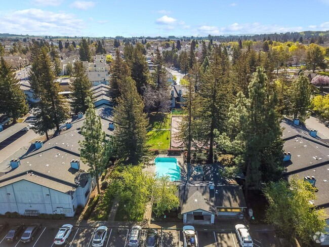 aerial view - Vintage Pointe Apartments