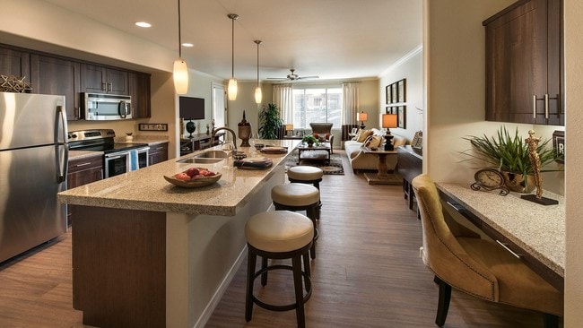 Photo - San Travesia