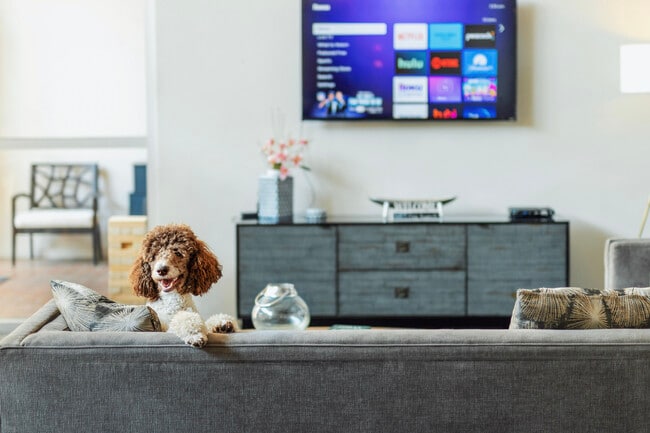 Resident Lounge - The Chisca