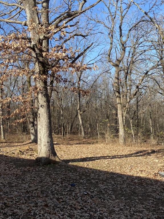 Photo - 15744 County Rd 1570