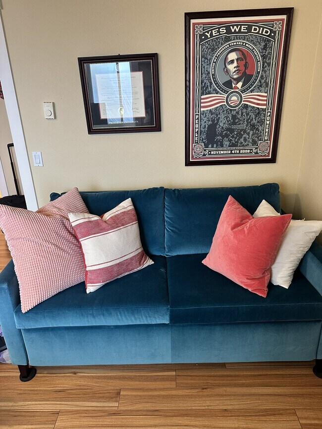 Room and Board pull out sofa