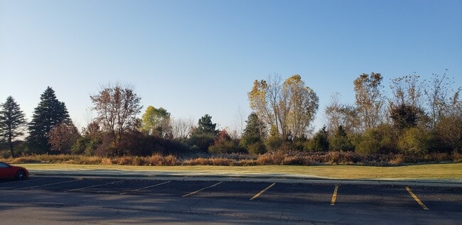 NATURE SETTING