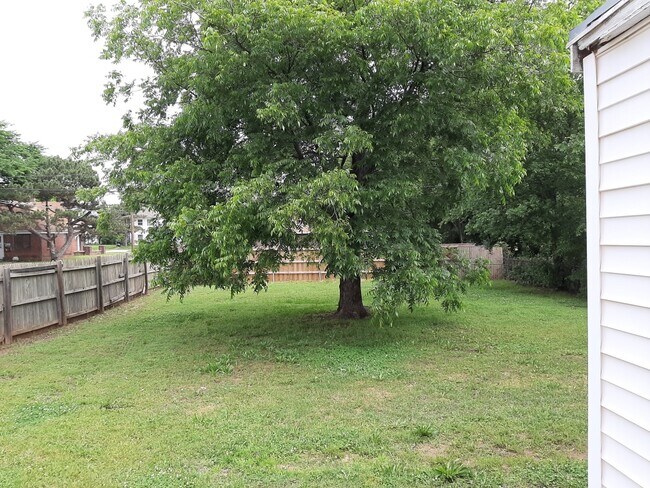 Backyard - 1201 NE 17th Street House