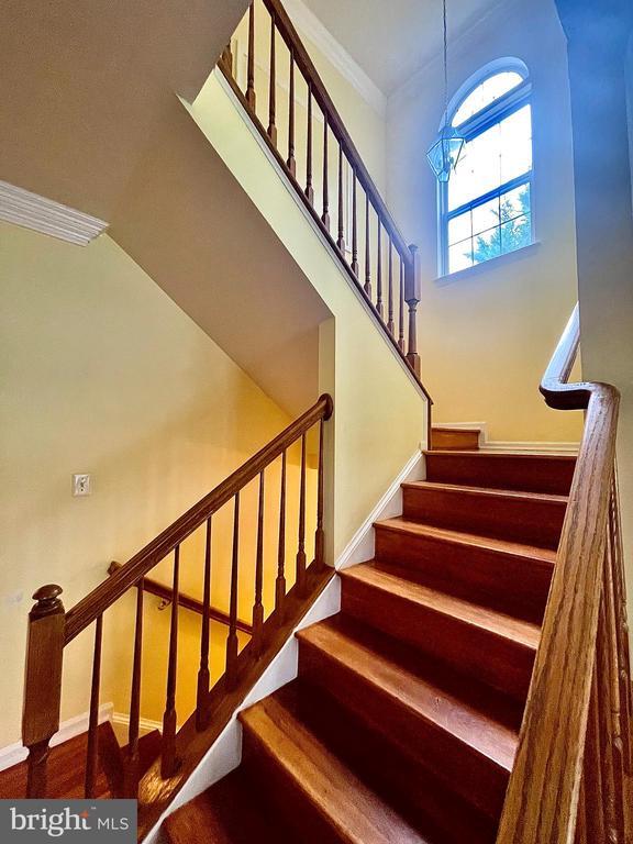 Photo - 6101 Newport Terrace