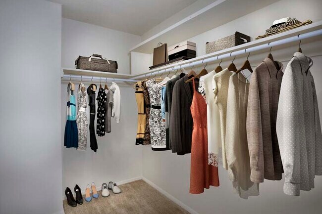 Walk-in closet at White Oak Towers Apartments in Silver Spring, MD