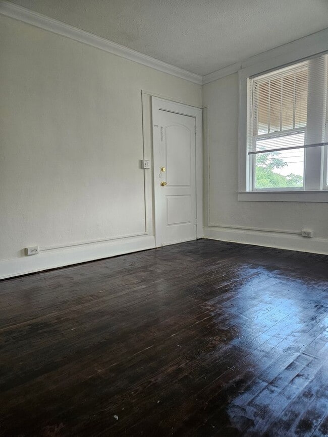 Photo - 1 Bed/1 Bath Apartment across from Hillsbo... Unit 4