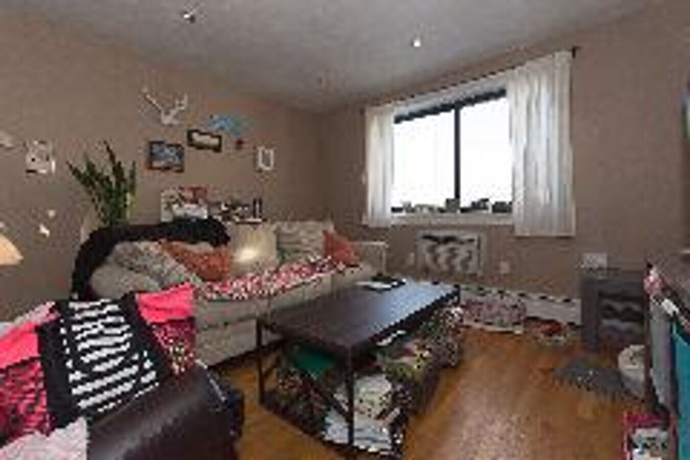 Photo - Pet Friendly 1 Bed In Packard's Corner! Heat/Hot Water Included