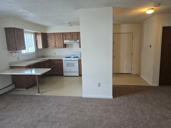 Kitchen - 142 Spruce St Unit 142 Spruce St  Apts