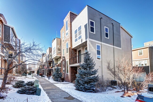 2 bed 2.5 bath Loft in Littleton Village - 2 bed 2.5 bath Loft in Littleton Village