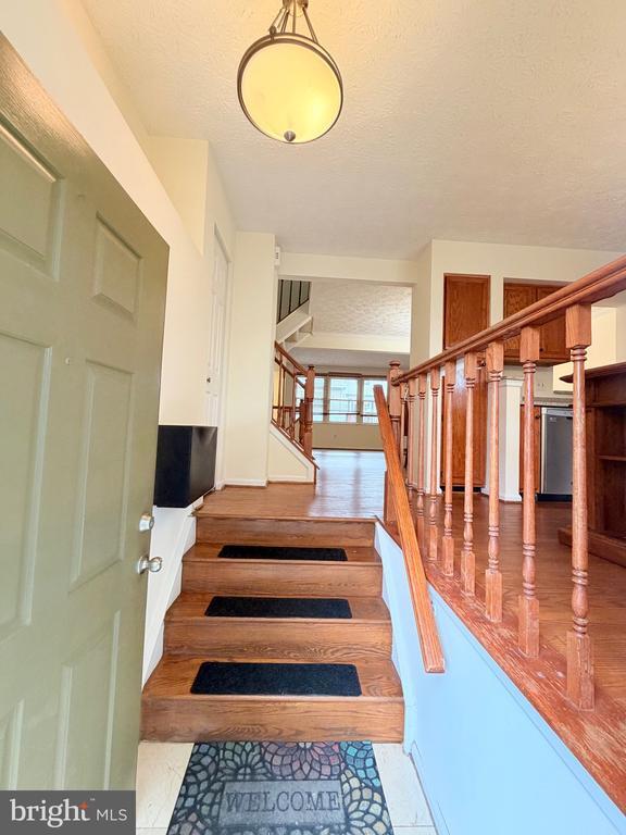 Photo - 3758 Mazewood Ln