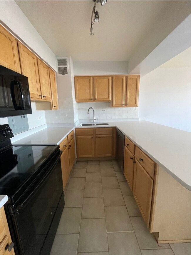 6030 N Sheridan Rd Unit 1003