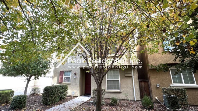 7853 Monaldo Walk