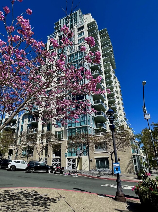 Photo - 850 Beech St Unit #614