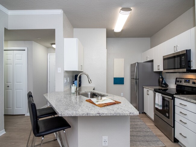 Modern Kitchen