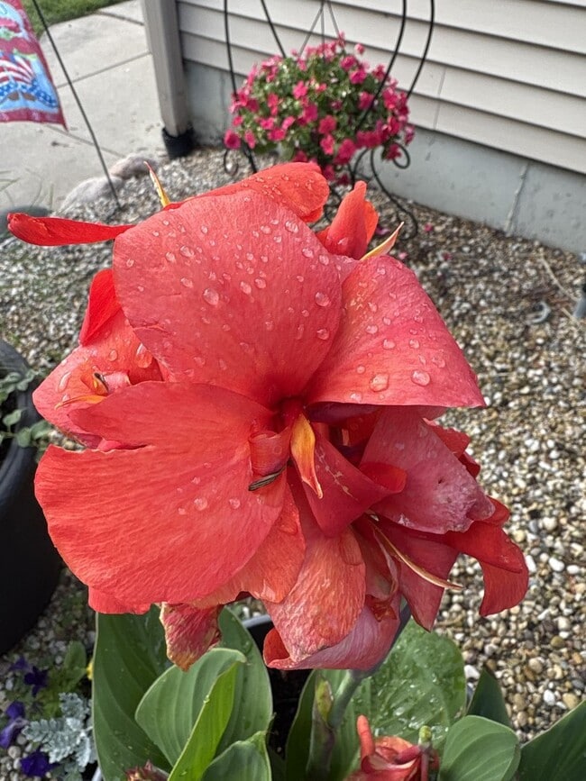 Photo - 23231 W Lakeshore Dr