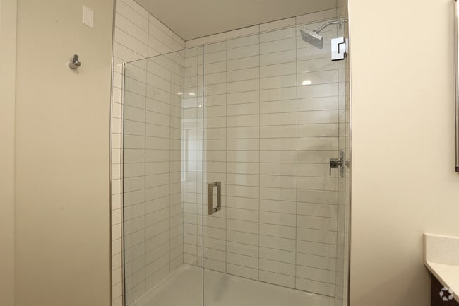 Bathroom frameless shower doors