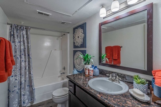 Photo - Sunset Shadows