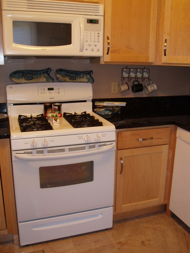 gas stove - 4951 N Santa Monica Blvd Apartment Unit 1