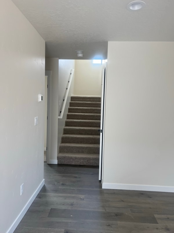 Photo - 10114 Longtail Dr