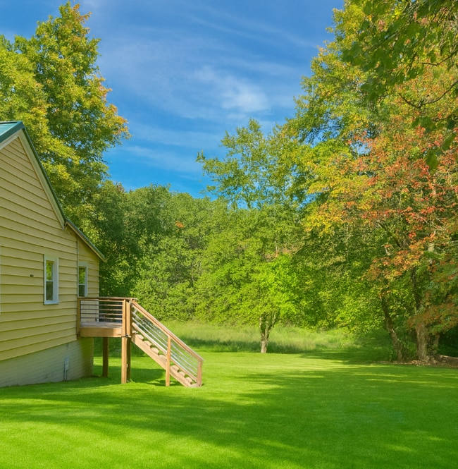 Photo - 1345 Ellis Rd