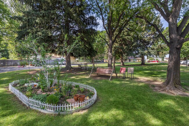 Mountain View Plaza