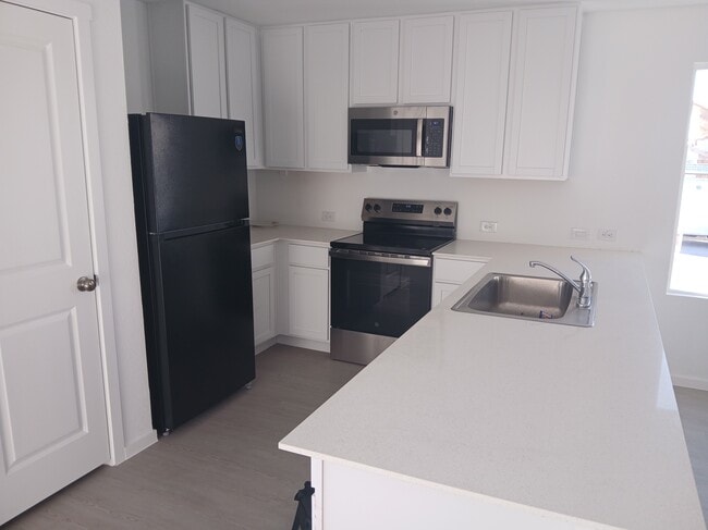 Photo - 8452 Violet Sapphire