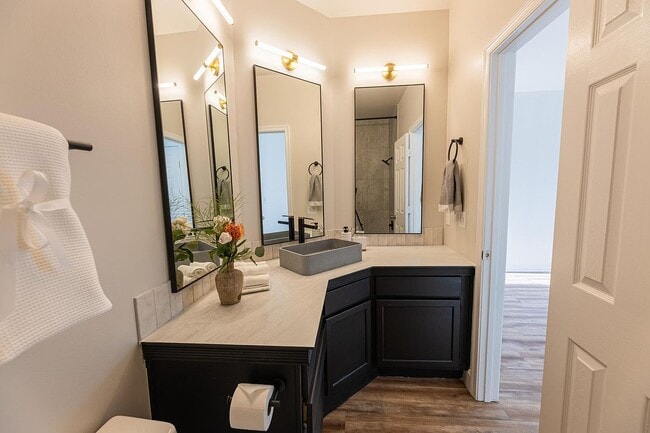 Master Bathroom vanity - 14301 Rosy Ln Unit 203