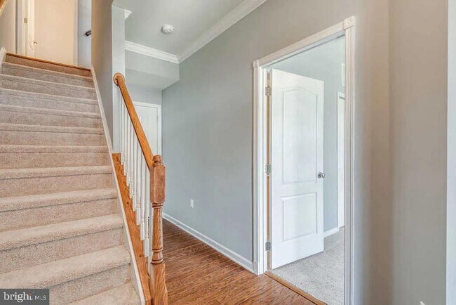 Photo - 43217 Whelplehill Terrace