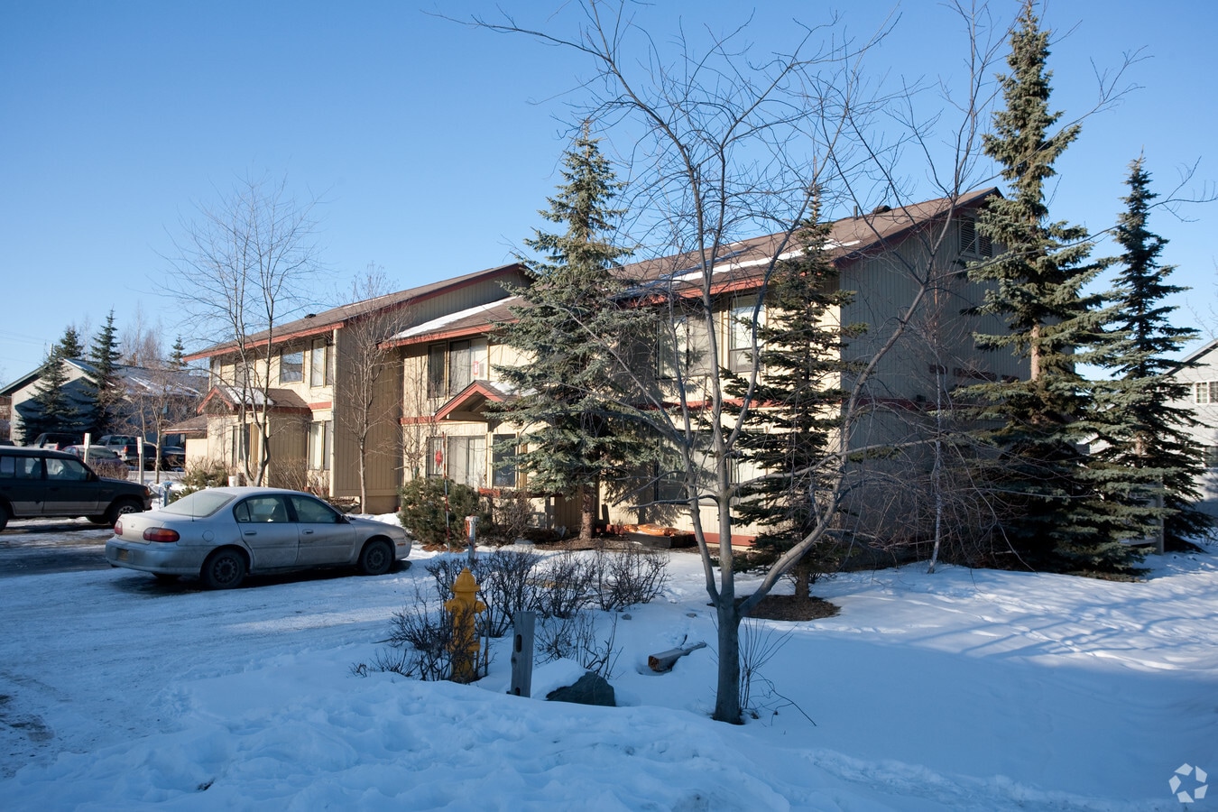 Berlin Rose - Berlin Rose