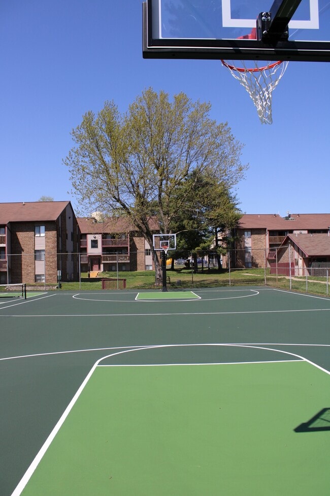 Pickleball and Basketball Court