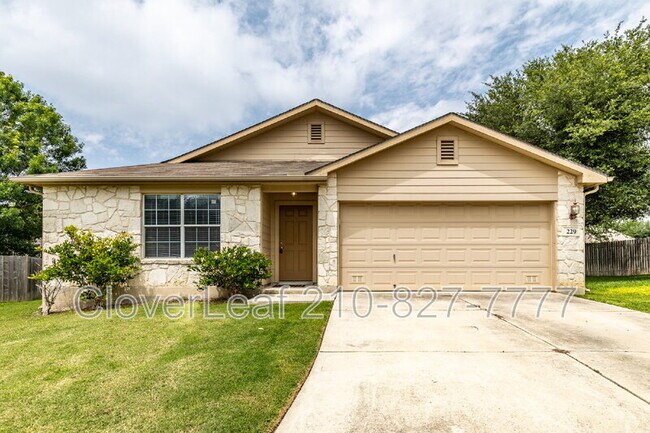 Photo - 229 Hereford St