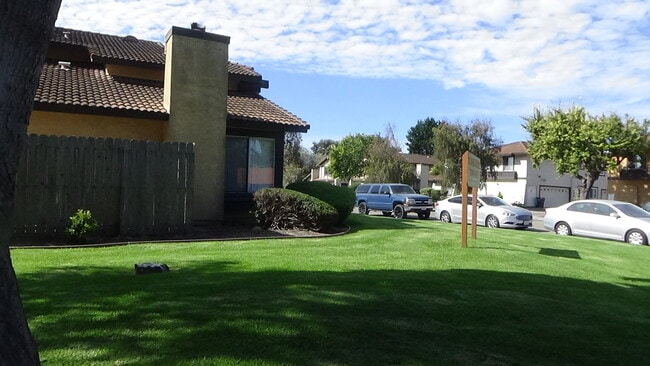 Side Yard 2