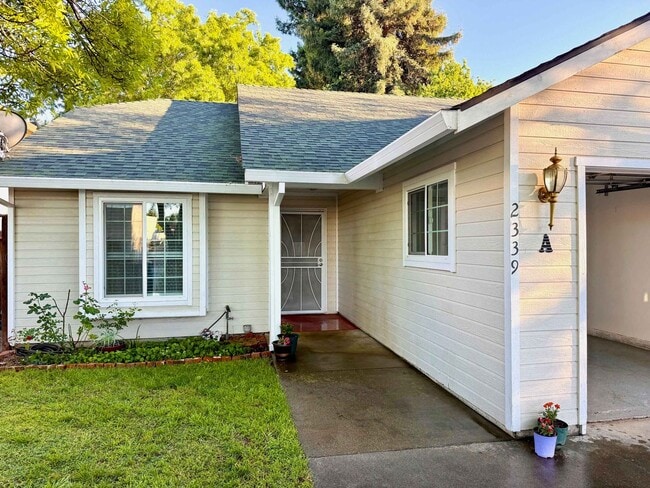 Building Photo - BR233-Lotti, Carole Kelly Unit A