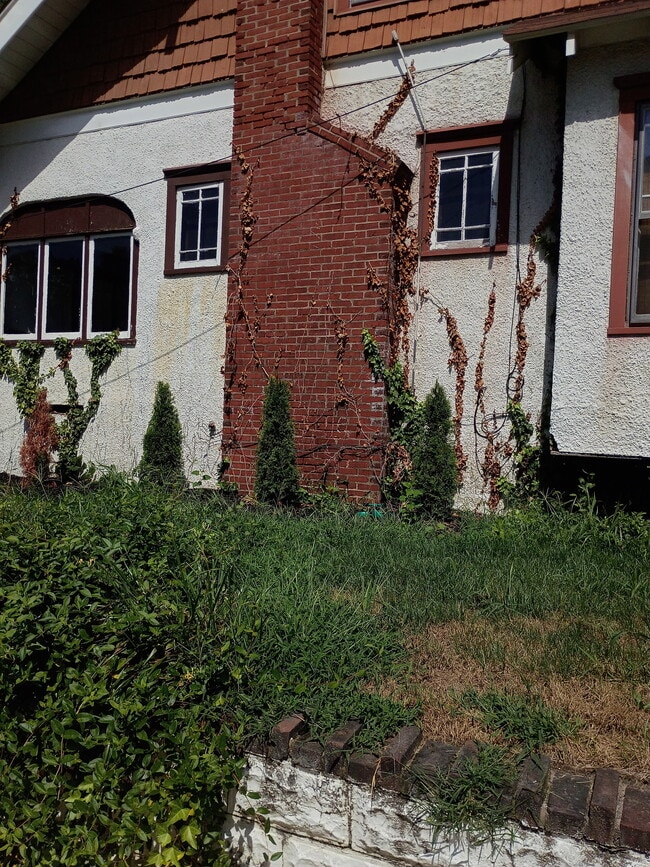 Photo - 144 Fern Ave